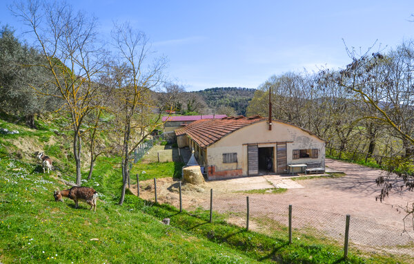 Semesterlägenhet - Monterchi , Italien - ITR080 801