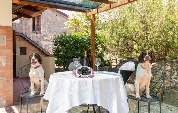 Semesterlägenhet - Monterchi , Italien - ITR083 101
