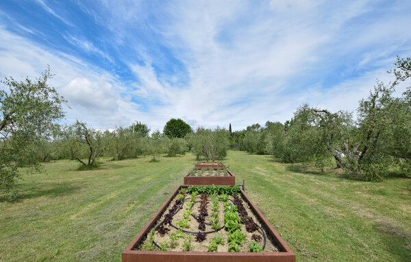 Ferienhaus - Marciano della Chiana , Italien - ITR084 9