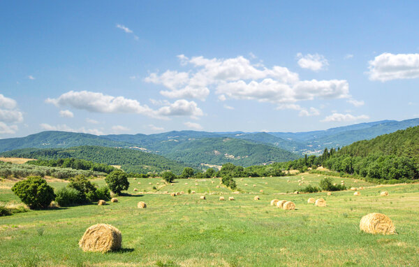 Domy wakacyjne - Subbiano , Wlochy - ITR097 901