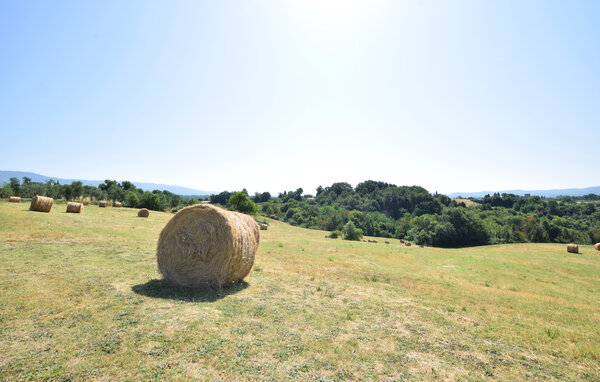 Casa de vacaciones - Terranuova Bracciolini , Italia - ITR098 901