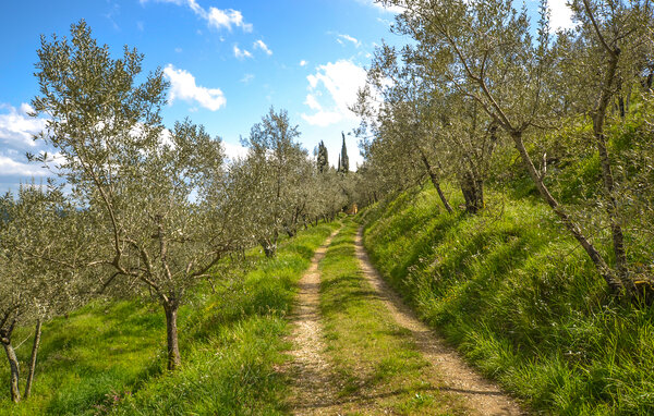 Casa de vacaciones - Terranuova Bracciolini , Italia - ITR098 903