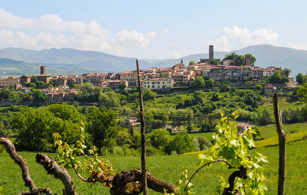 Semesterhus - Ortignano Raggiolo , Italien - ITR100 7