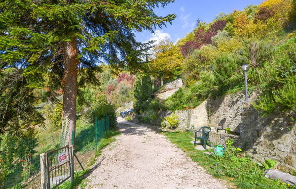 Apartament - Bibbiena , Wlochy - ITR104 801