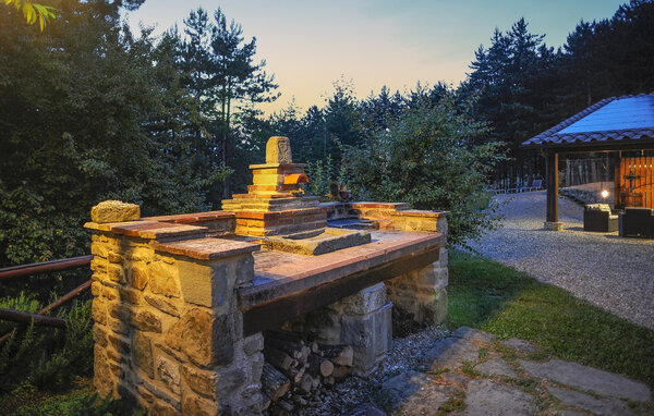 Ferienhaus - Poppi , Italien - ITR110 803