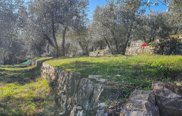 Apartment - Pergine Valdarno , Italy - ITR121 802