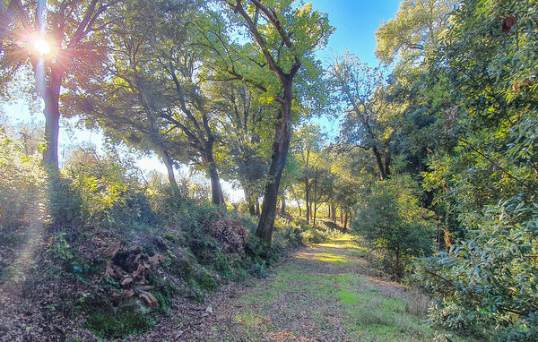 Holiday Home - Pergine Valdarno , Italy - ITR122 804