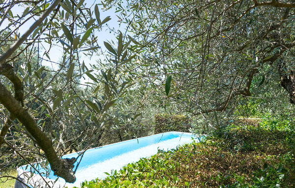 Holiday Home - Pergine Valdarno , Italy - ITR124 11