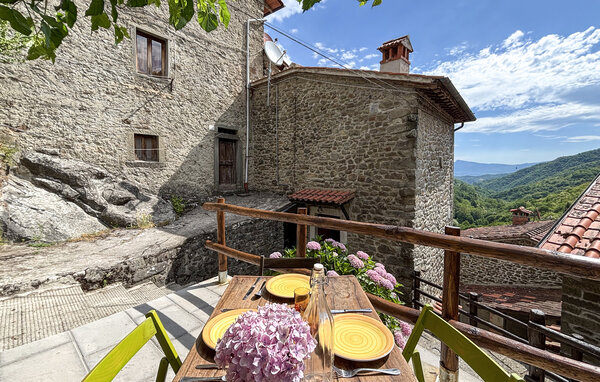 Vakantiehuis - Raggiolo , Italië - ITR126 1