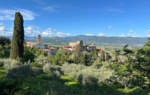 Appartement - Caprese Michelangelo , Italië - ITR129 9
