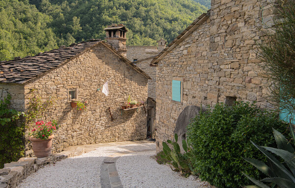 Domy wakacyjne - Badia Tedalda , Wlochy - ITR133 803