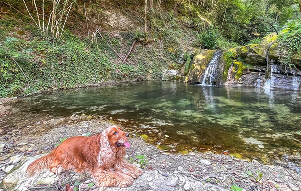 Domy wakacyjne - Badia Tedalda , Wlochy - ITR133 806