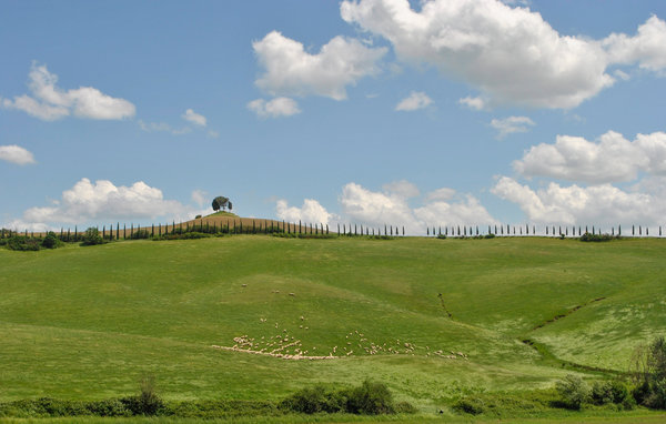 Apartament - Sovicille , Wlochy - ITS043 901