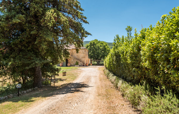 Ferienhaus - Radicondoli , Italien - ITS054 901
