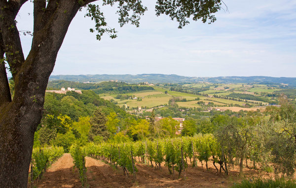 Holiday Home - Casole d'Elsa , Italy - ITS092 6