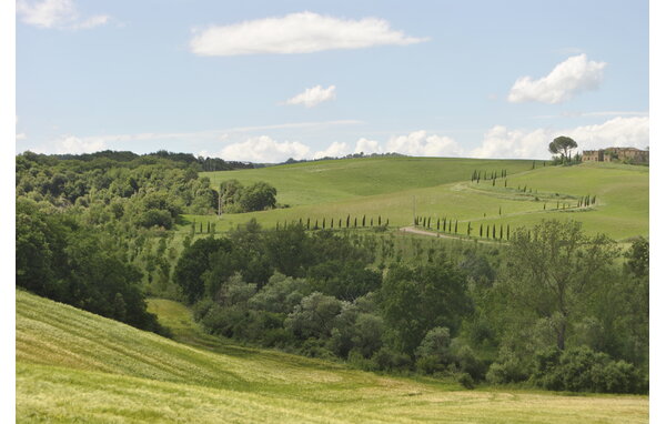 Vakantiehuis - Monteroni d'Arbia , Italië - ITS199 901