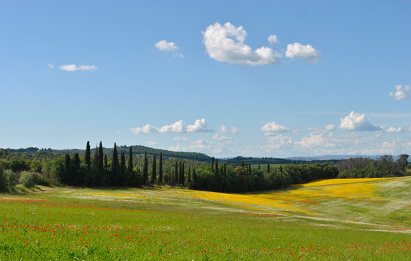 Vakantiehuis - Monteroni d'Arbia , Italië - ITS199 9