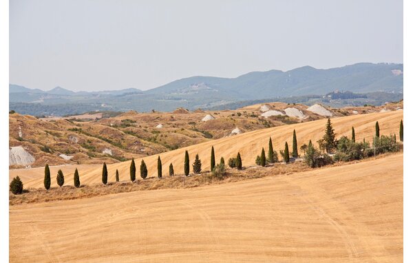 Apartment - Siena , Italy - ITS233 4