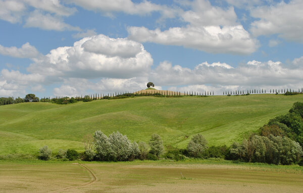 Apartment - Siena , Italy - ITS233 902