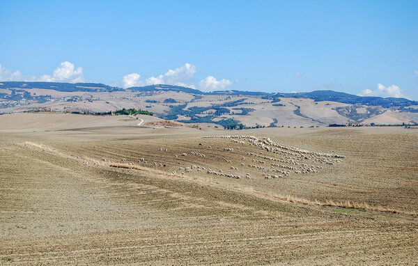 Ferienhaus - San Quirico d'Orcia , Italien - ITS256 903