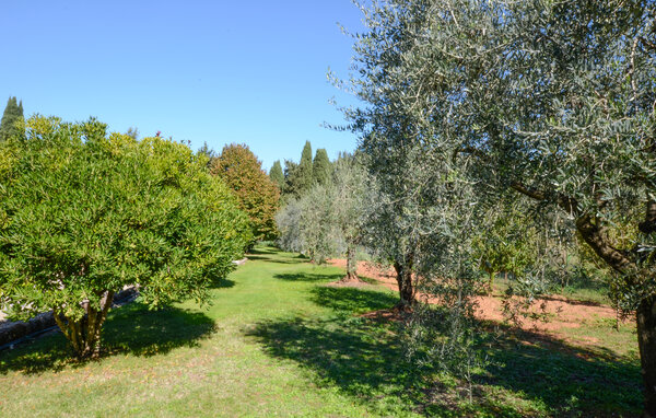Ferienwohnung - Casole d'Elsa , Italien - ITS279 106