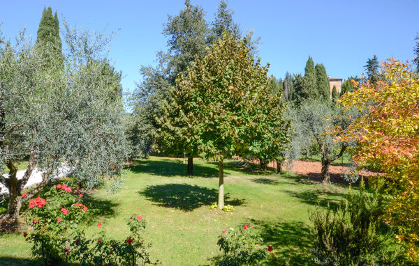 Ferienwohnung - Casole d'Elsa , Italien - ITS279 6