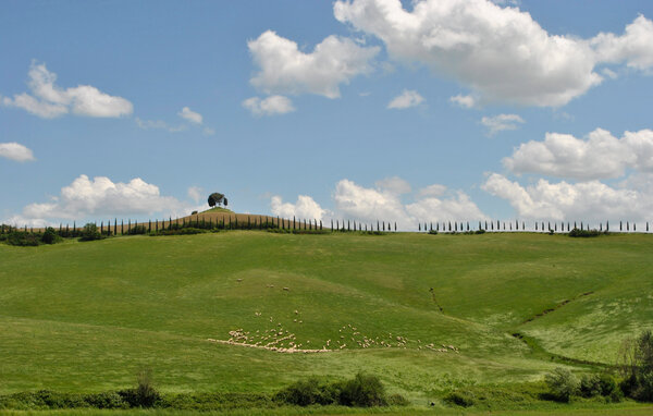 Apartment - Siena , Italy - ITS690 903