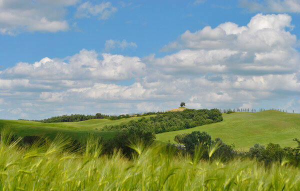 Apartment - Siena , Italy - ITS690 904