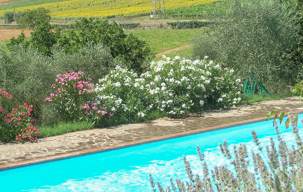 Apartamento - Siena , Italia - ITS692 13