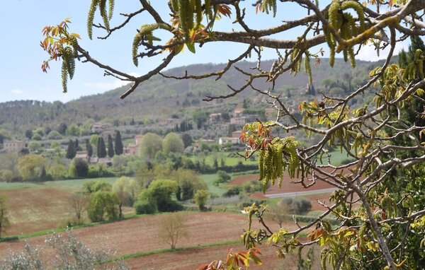 Apartamento - Siena , Italia - ITS692 8
