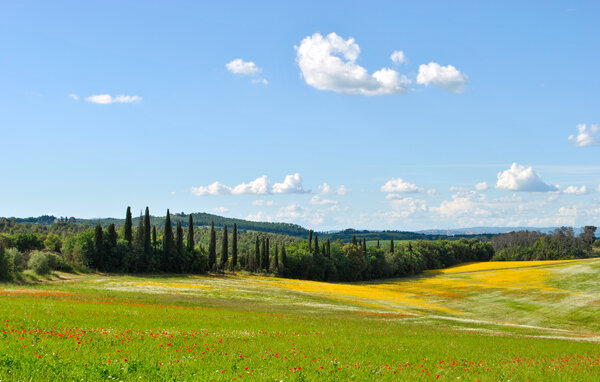 Holiday Home - Trequanda , Italy - ITS712 904