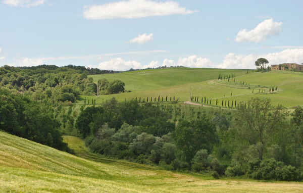 Domy wakacyjne - Trequanda , Wlochy - ITS714 904