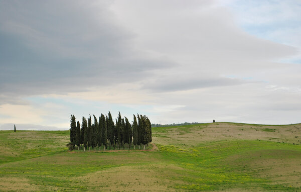 Holiday Home - Trequanda , Italy - ITS715 903