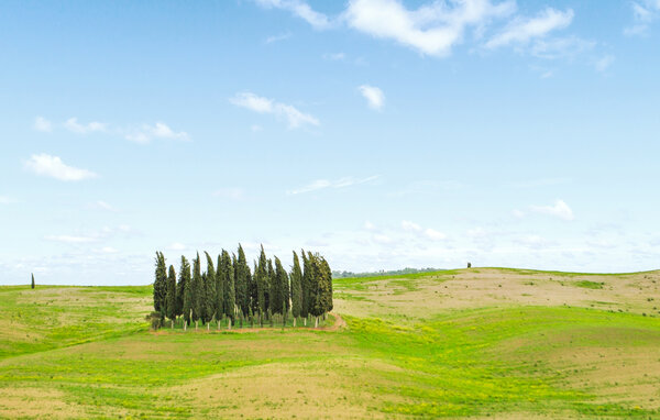 Ferienhaus - Trequanda , Italien - ITS716 904