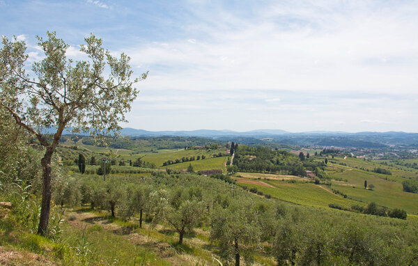 Appartement - Poggibonsi , Italië - ITS731 907