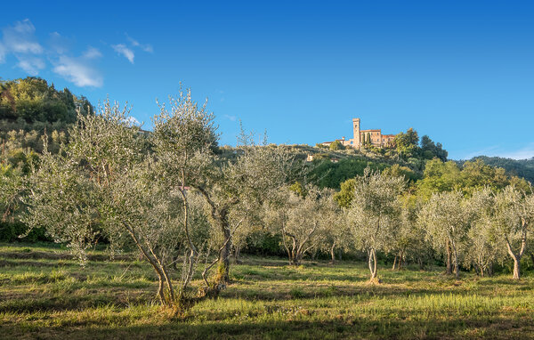 Apartament - Massa e Cozzile , Wlochy - ITT014 901