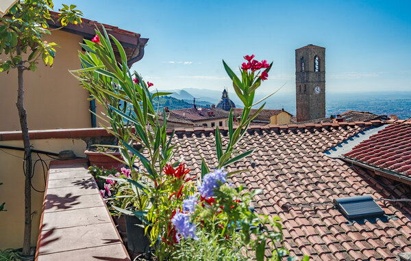 Apartament - Massa e Cozzile , Wlochy - ITT014 201