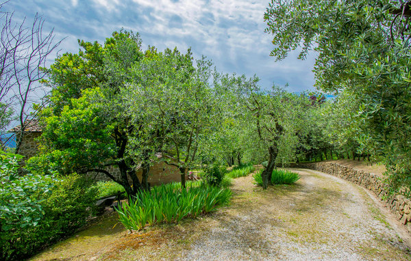 Domy wakacyjne - Buggiano , Wlochy - ITT334 102