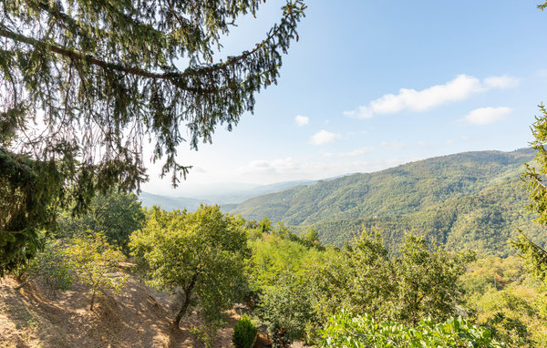 Feriebolig 