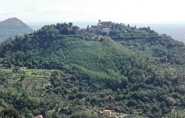 Domy wakacyjne - Montecatini Terme , Wlochy - ITT361 6