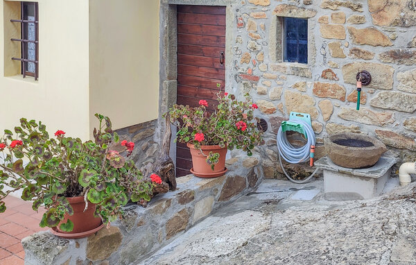 Domy wakacyjne - Montecatini Terme , Wlochy - ITT361 106