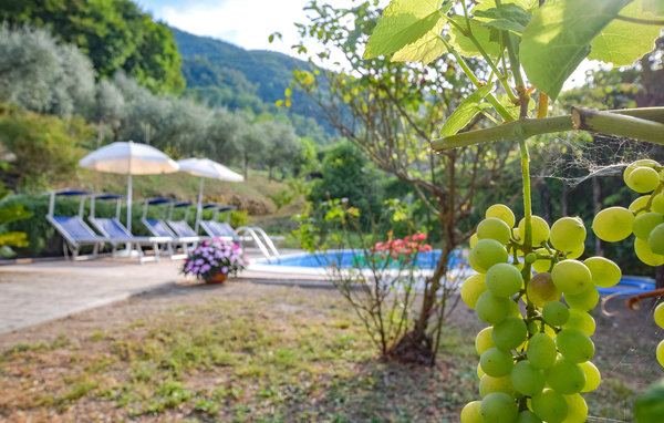Holiday Home - Castagnetoli , Italy - ITV030 801