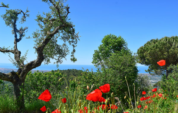 Ferienhaus - Camaiore , Italien - ITV065 902