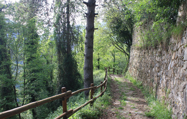 Domy wakacyjne - Terrinca , Wlochy - ITV072 902