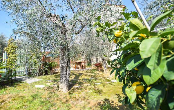 Ferienhaus - Massarosa , Italien - ITV204 103