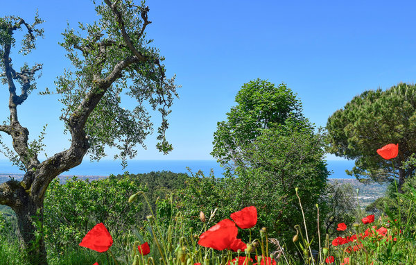 Domy wakacyjne - Camaiore , Wlochy - ITV257 901