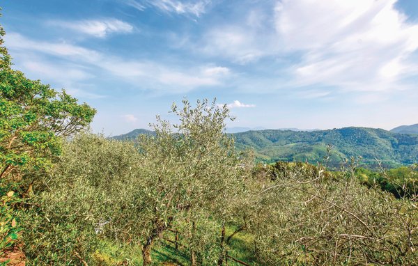 Ferienhaus - Versilia , Italien - ITV740 901