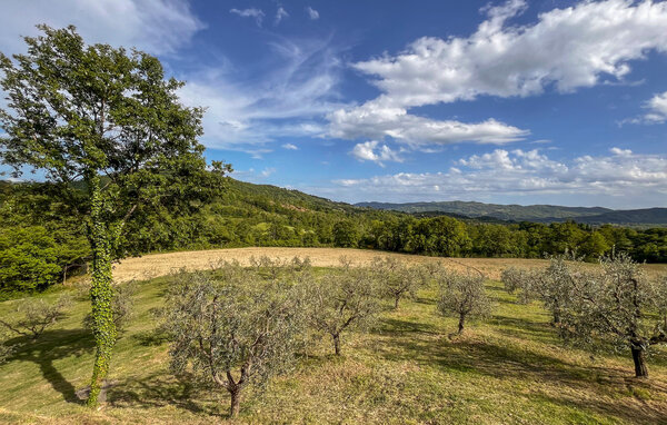 Holiday Home - Monte Santa Maria Tiberina , Italy - IUN027 103