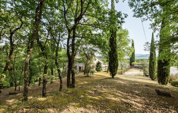 Holiday Home - Monte Santa Maria Tiberina , Italy - IUN027 9