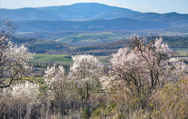 Domy wakacyjne - San Venanzo , Wlochy - IUO003 901